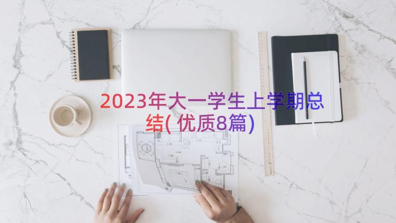 2023年大一学生上学期总结(优质8篇)