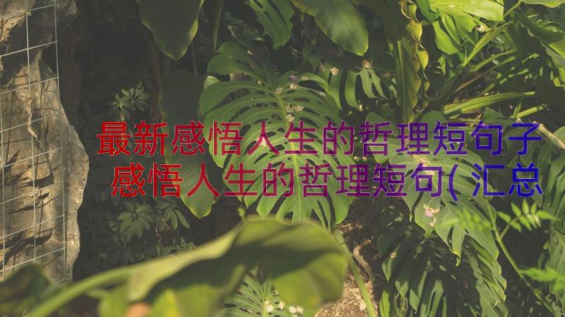 最新感悟人生的哲理短句子 感悟人生的哲理短句(汇总9篇)