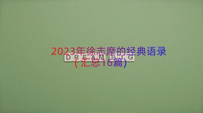 2023年徐志摩的经典语录(汇总16篇)