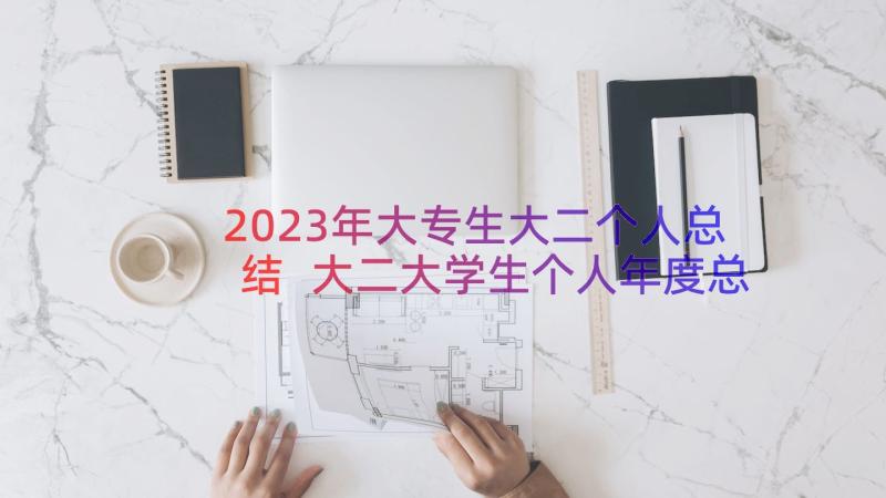 2023年大专生大二个人总结 大二大学生个人年度总结(精选8篇)