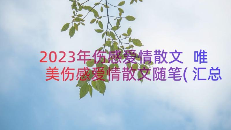 2023年伤感爱情散文 唯美伤感爱情散文随笔(汇总9篇)