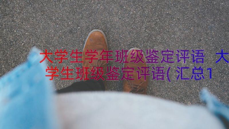 大学生学年班级鉴定评语 大学生班级鉴定评语(汇总13篇)