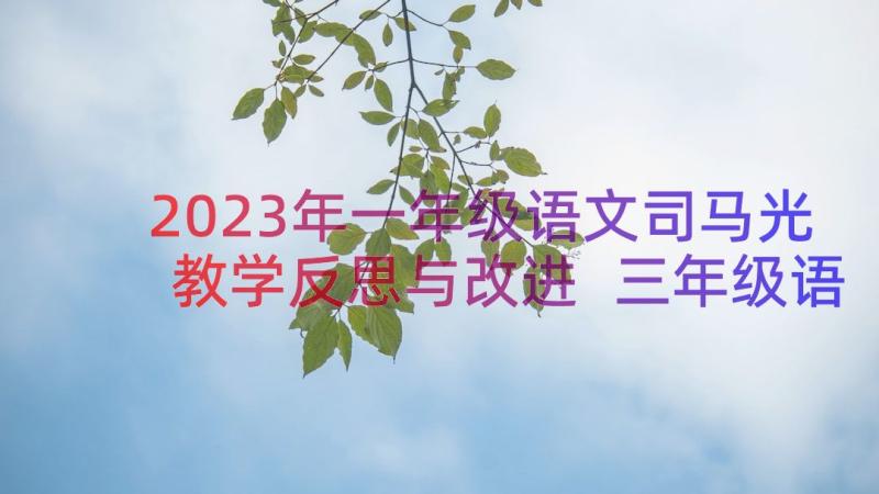 2023年一年级语文司马光教学反思与改进 三年级语文司马光教学反思(实用9篇)