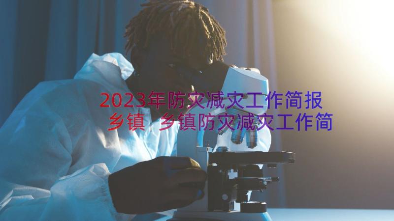 2023年防灾减灾工作简报乡镇 乡镇防灾减灾工作简报(汇总8篇)