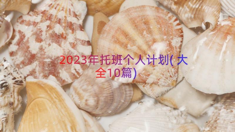 2023年托班个人计划(大全10篇)