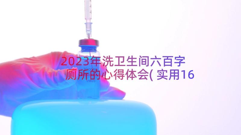 2023年洗卫生间六百字 厕所的心得体会(实用16篇)
