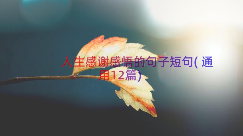 人生感谢感悟的句子短句(通用12篇)