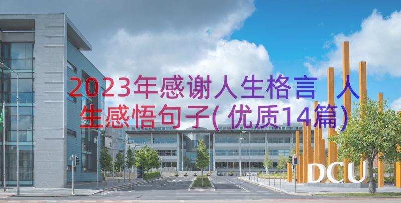 2023年感谢人生格言 人生感悟句子(优质14篇)