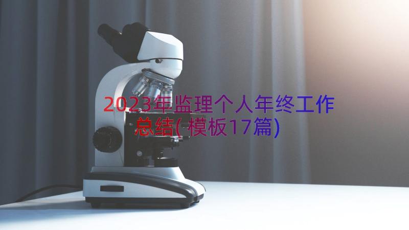 2023年监理个人年终工作总结(模板17篇)