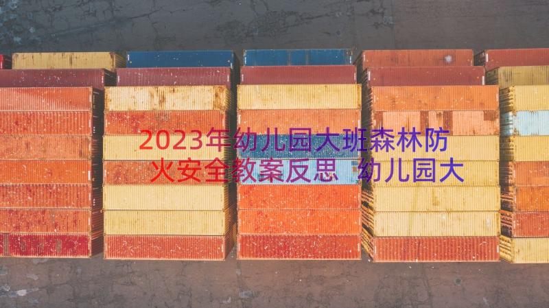 2023年幼儿园大班森林防火安全教案反思 幼儿园大班安全教案森林防火(通用18篇)