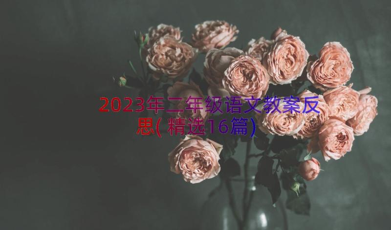 2023年二年级语文教案反思(精选16篇)