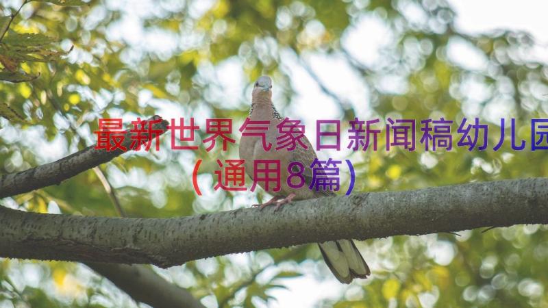 最新世界气象日新闻稿幼儿园(通用8篇)