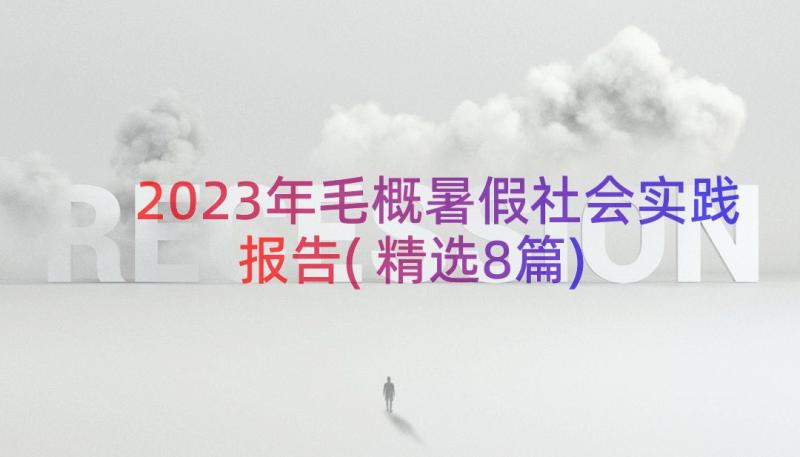 2023年毛概暑假社会实践报告(精选8篇)