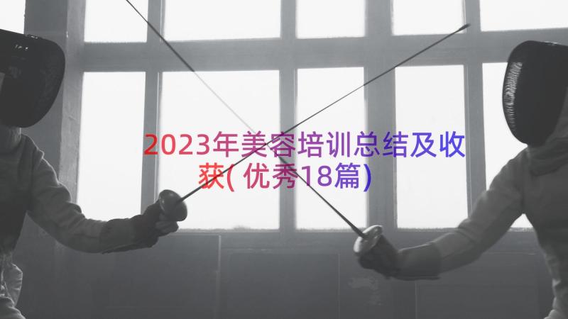 2023年美容培训总结及收获(优秀18篇)