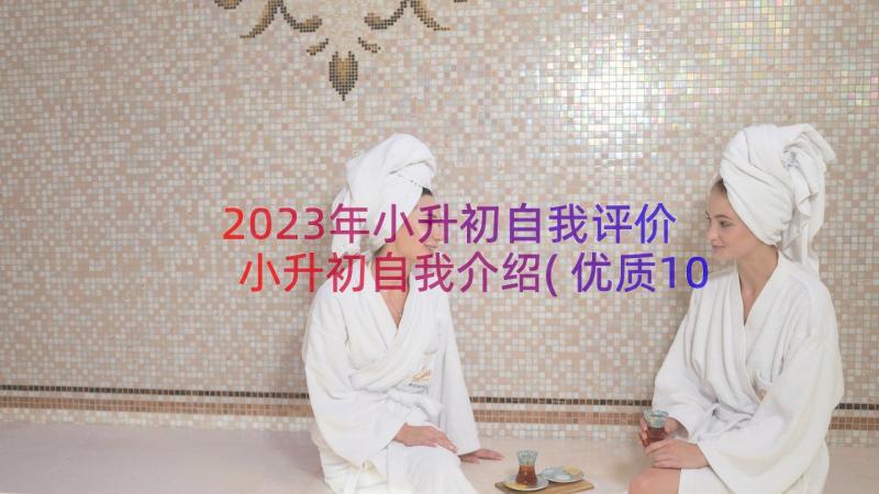 2023年小升初自我评价 小升初自我介绍(优质10篇)