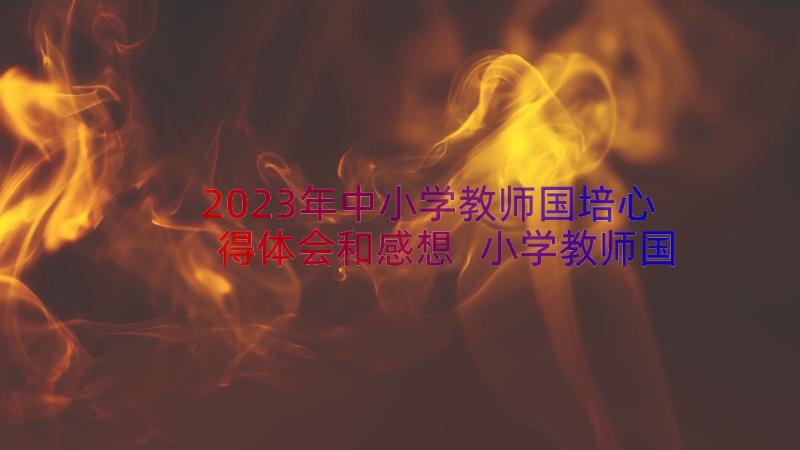 2023年中小学教师国培心得体会和感想 小学教师国培心得体会(通用8篇)