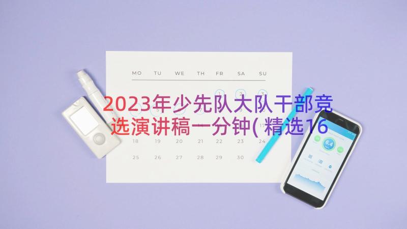 2023年少先队大队干部竞选演讲稿一分钟(精选16篇)