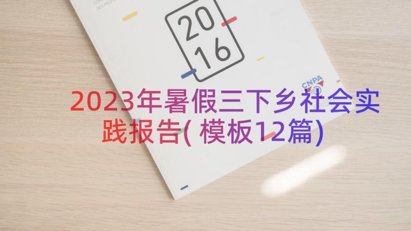 2023年暑假三下乡社会实践报告(模板12篇)