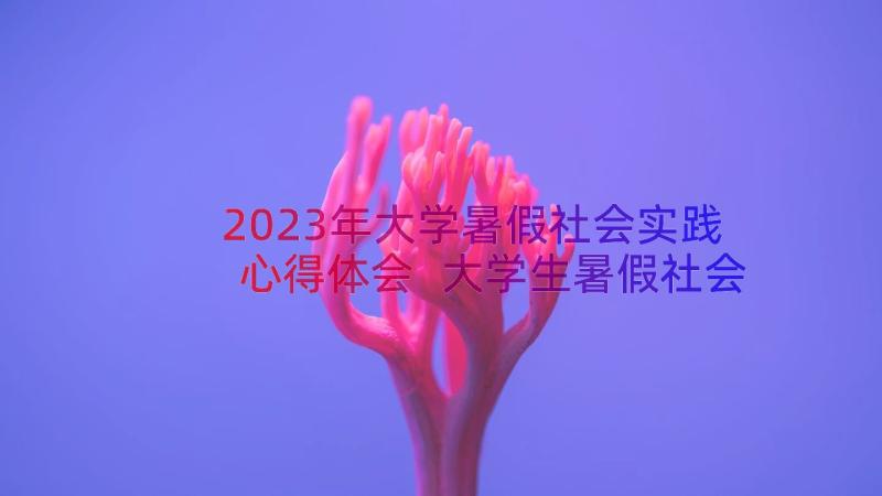 2023年大学暑假社会实践心得体会 大学生暑假社会实践心得体会(优秀13篇)