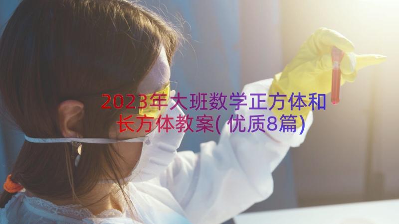 2023年大班数学正方体和长方体教案(优质8篇)