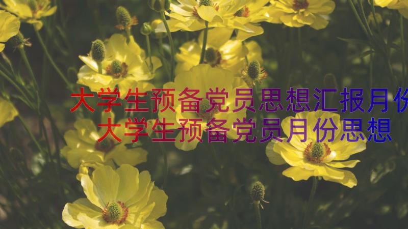 大学生预备党员思想汇报月份 大学生预备党员月份思想汇报(大全5篇)