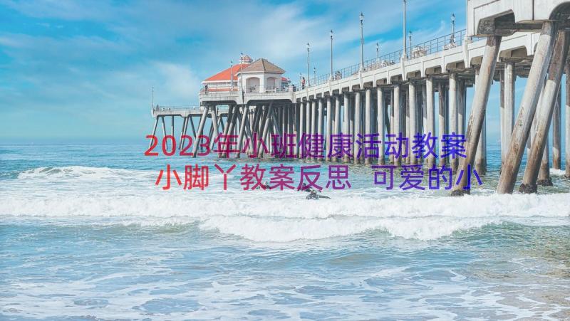 2023年小班健康活动教案小脚丫教案反思 可爱的小脚丫小班活动教案(优质8篇)