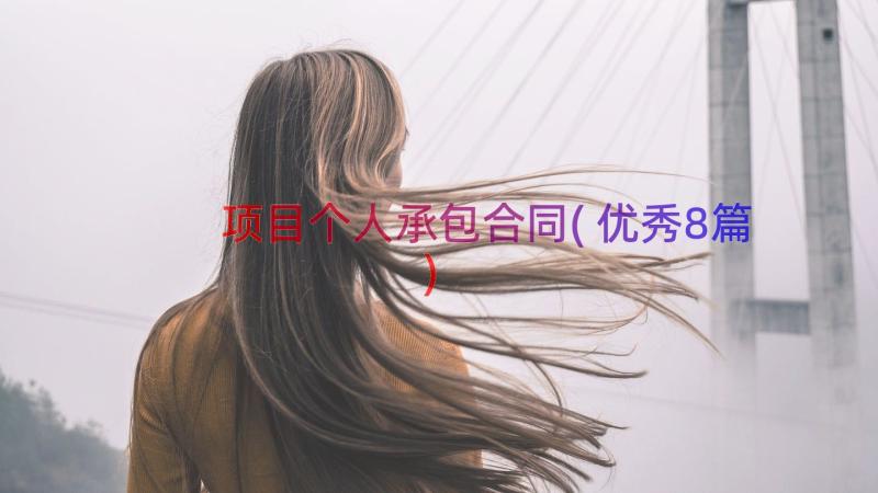 项目个人承包合同(优秀8篇)