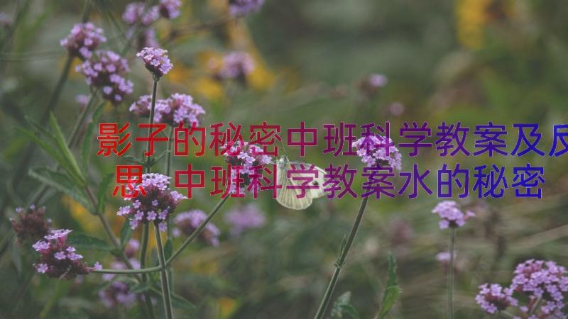 影子的秘密中班科学教案及反思 中班科学教案水的秘密(优秀8篇)