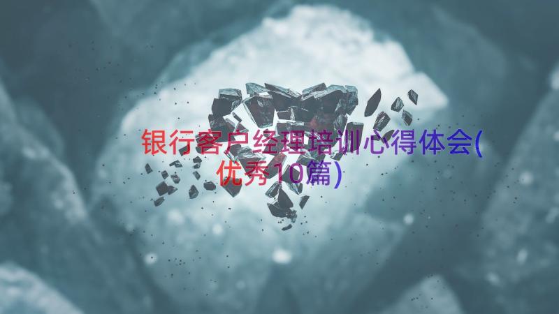 银行客户经理培训心得体会(优秀10篇)