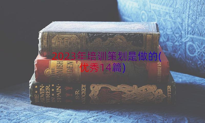 2023年培训策划是做的(优秀14篇)