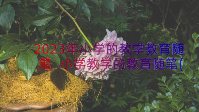 2023年小学的教学教育随笔 小学教学的教育随笔(汇总13篇)