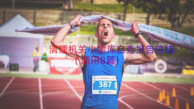 清理机关小金库自查报告总结(通用8篇)