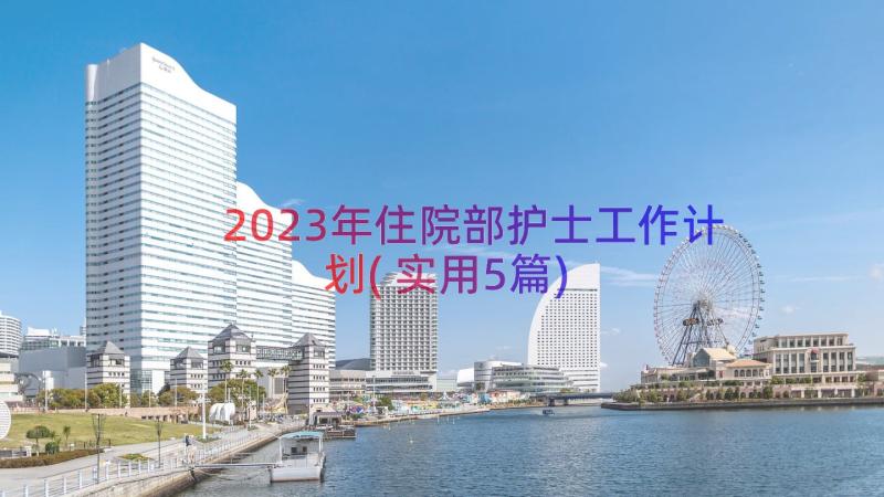 2023年住院部护士工作计划(实用5篇)