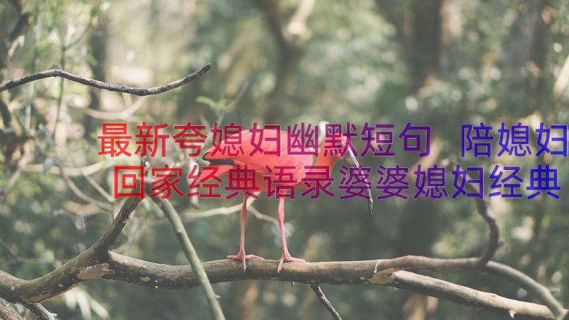 最新夸媳妇幽默短句 陪媳妇回家经典语录婆婆媳妇经典语录(优秀8篇)