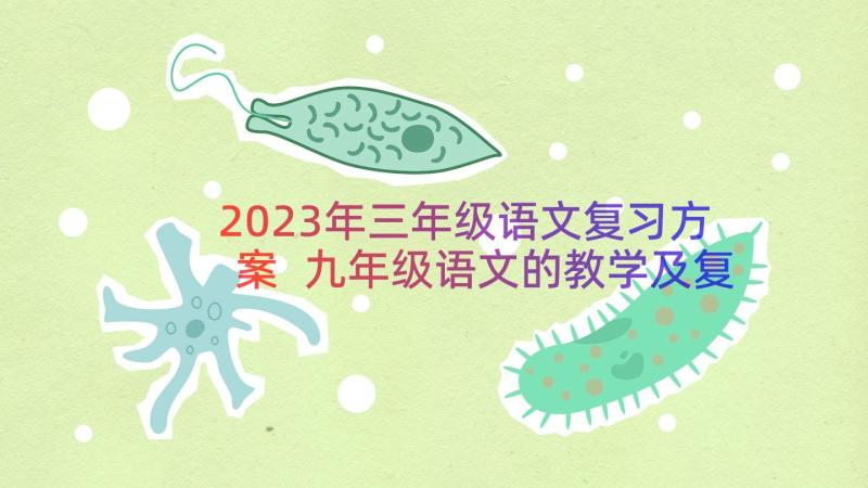 2023年三年级语文复习方案 九年级语文的教学及复习计划方案(大全5篇)