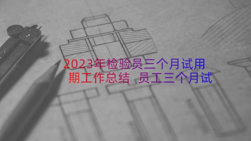 2023年检验员三个月试用期工作总结 员工三个月试用期转正工作总结(优秀8篇)