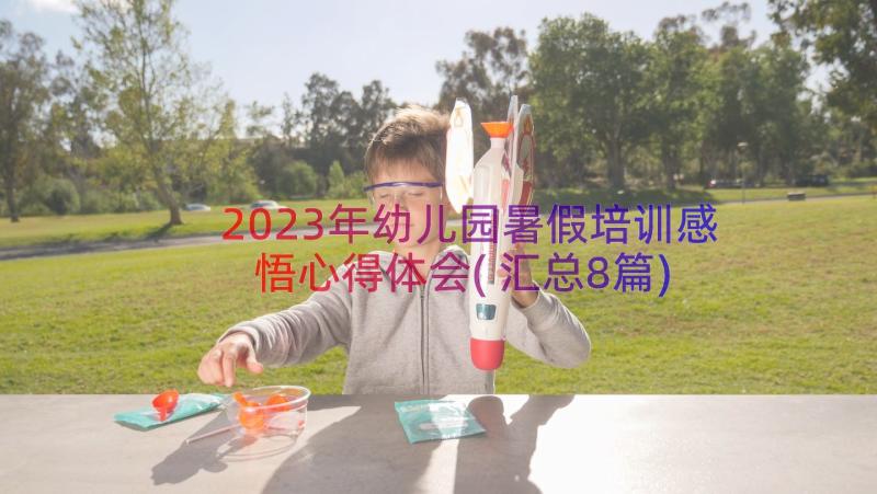 2023年幼儿园暑假培训感悟心得体会(汇总8篇)