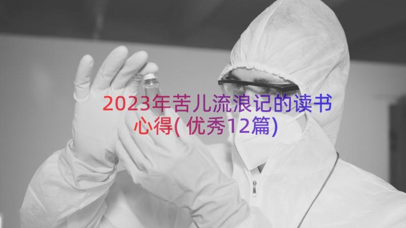 2023年苦儿流浪记的读书心得(优秀12篇)