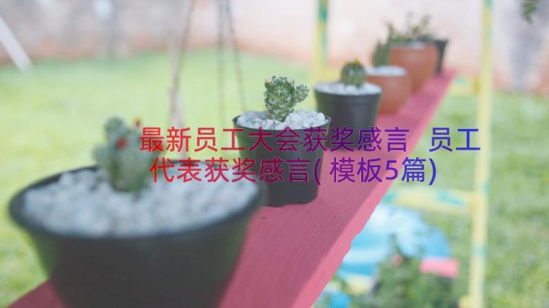 最新员工大会获奖感言 员工代表获奖感言(模板5篇)