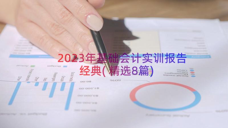 2023年基础会计实训报告经典(精选8篇)