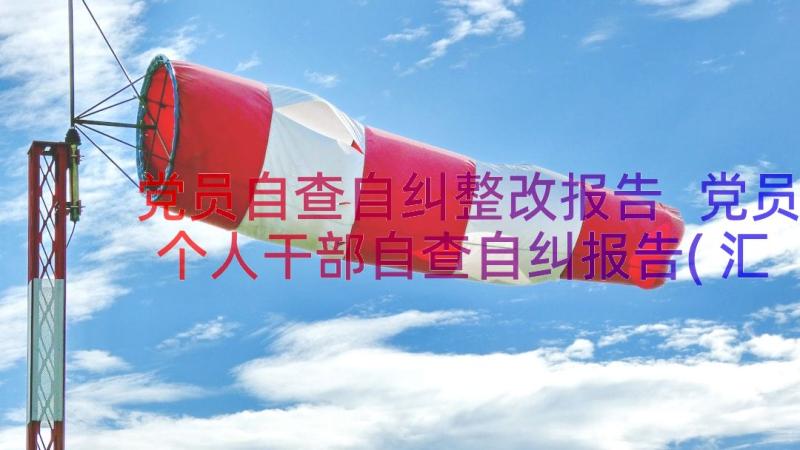 党员自查自纠整改报告 党员个人干部自查自纠报告(汇总13篇)