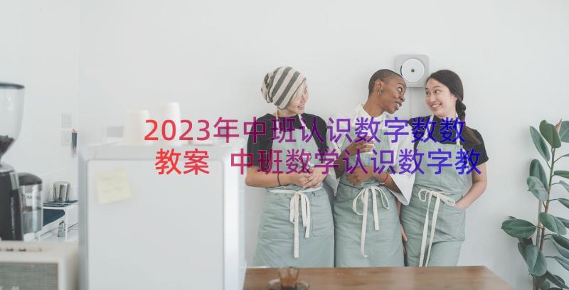 2023年中班认识数字数数教案 中班数学认识数字教案(模板19篇)