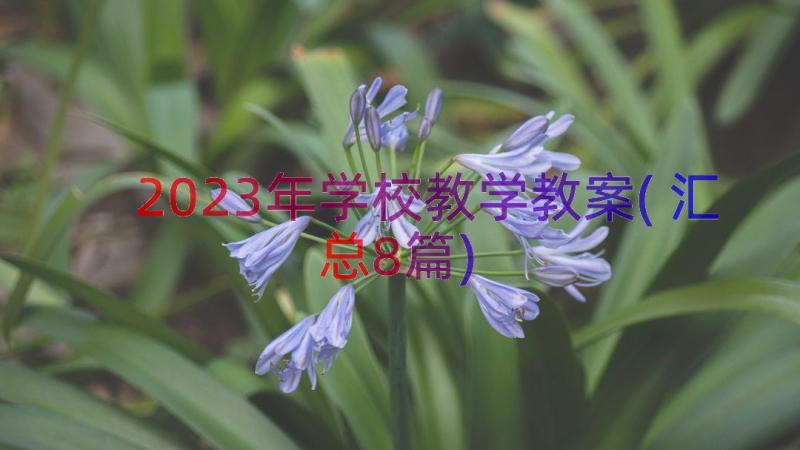 2023年学校教学教案(汇总8篇)