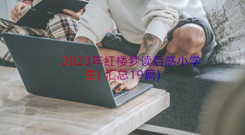 2023年红楼梦读后感小学生(汇总19篇)