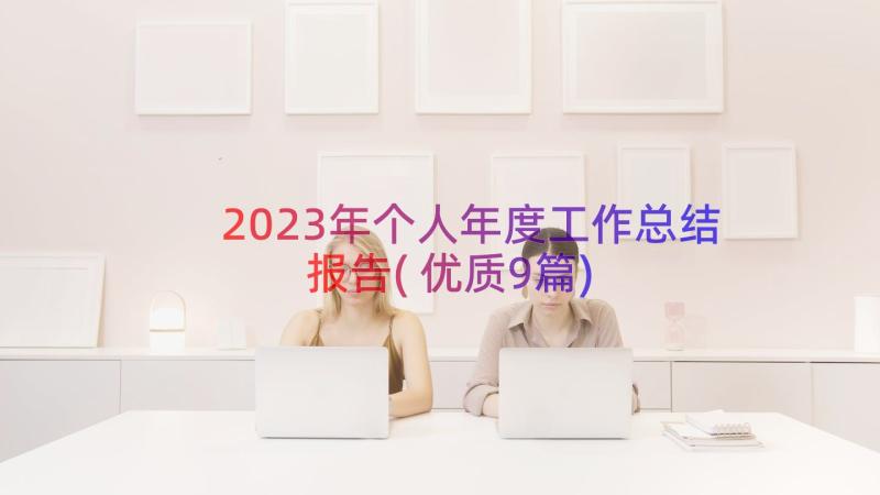 2023年个人年度工作总结报告(优质9篇)