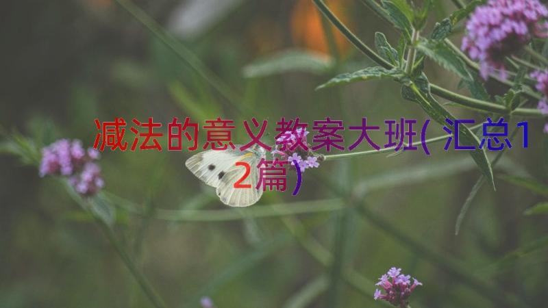 减法的意义教案大班(汇总12篇)