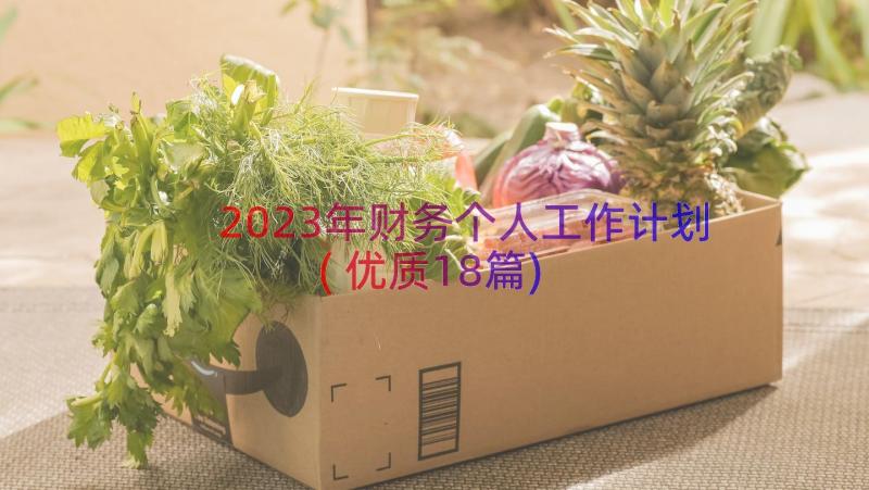 2023年财务个人工作计划(优质18篇)