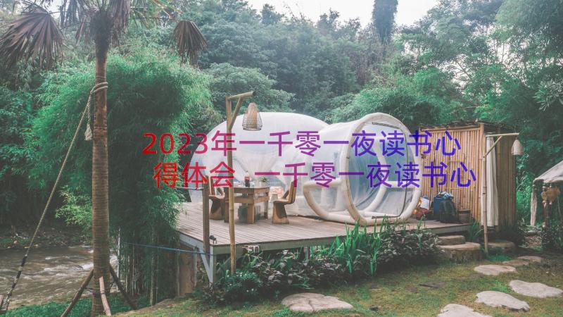 2023年一千零一夜读书心得体会 一千零一夜读书心得(精选16篇)