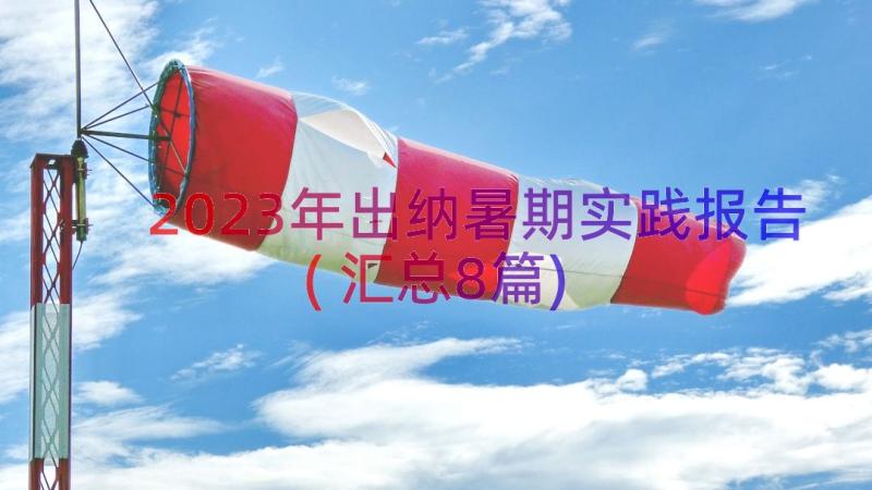 2023年出纳暑期实践报告(汇总8篇)