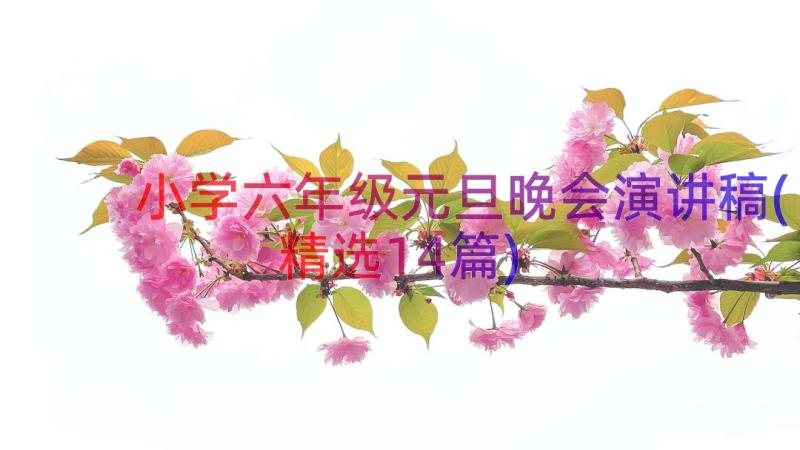 小学六年级元旦晚会演讲稿(精选14篇)